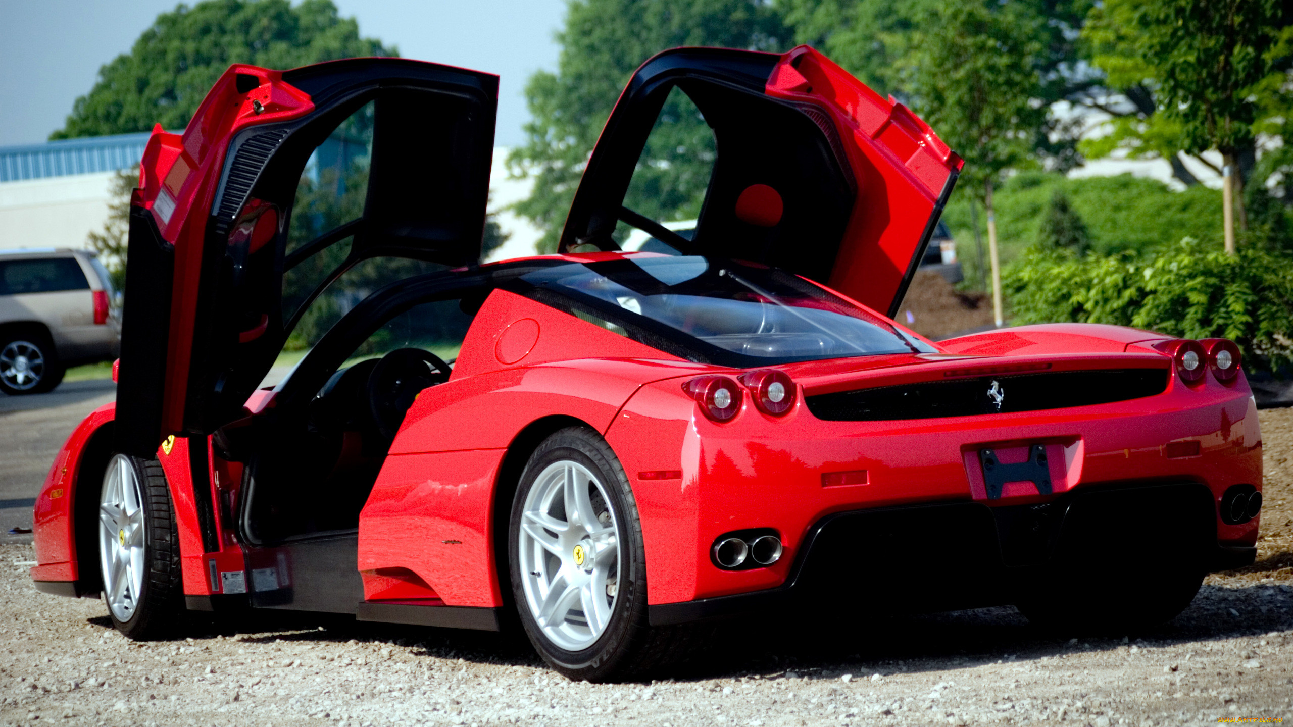 Ferrari enzo фото